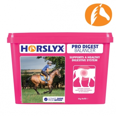 Horslyx Horslyx Pro Digest 5kg / Spiced Apple Flavour